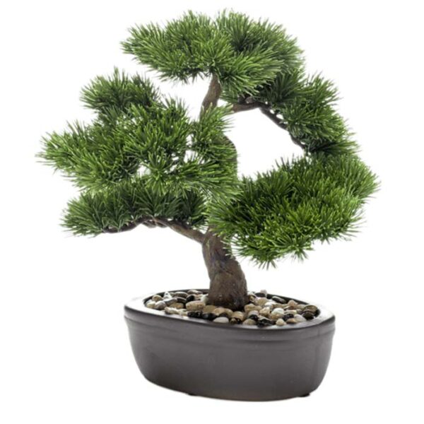 Bonsai Archivi